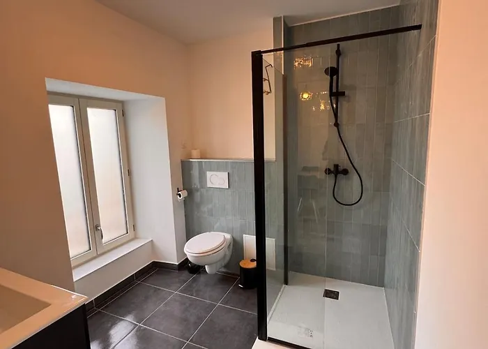 Le Saphir By Clem Apartman Pélussin